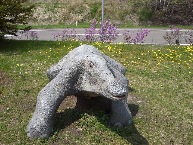 http://www.museum.ashoro.hokkaido.jp/html/column/20110522_02.jpg